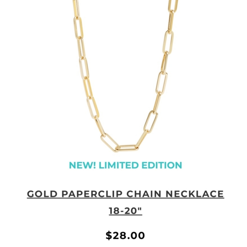 Limited edition Origami Owl necklace